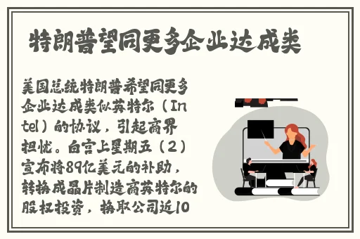 美国又大又长又租